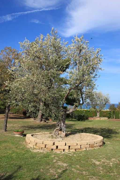 Villa Dolcevita San Costanzo Екстер'єр фото